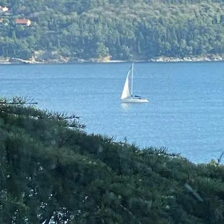4+1 Flat For In Burgazada, Adalar, Istanbul Appartement